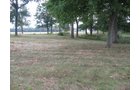 Property photo 56 - 80 Acres Offered in 4 Tracts - Horse Farm